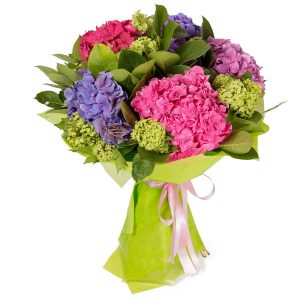 Букет гортензий «Цветочное великолепие»