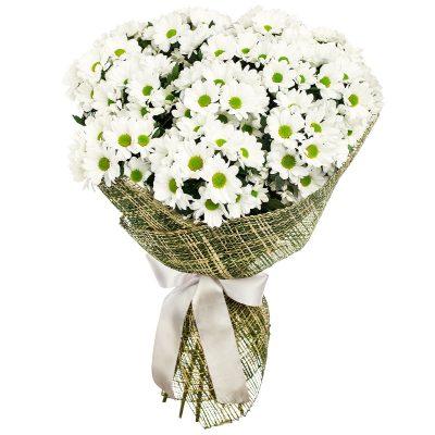 Букет из белых хризантем «Чистый шарм»